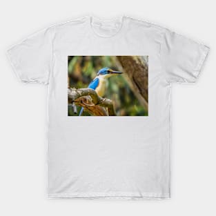 Sacred Kingfisher in my garden T-Shirt